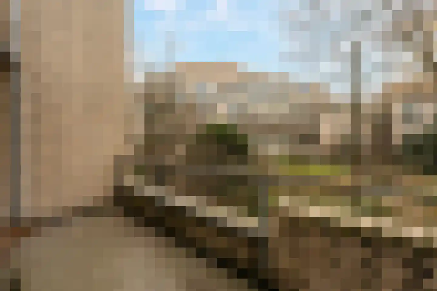 Burgemeester Patijnlaan 690 Den Haag thumbnail 5