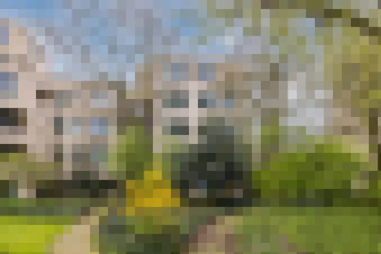 Burgemeester Patijnlaan 694 Den Haag thumbnail 28