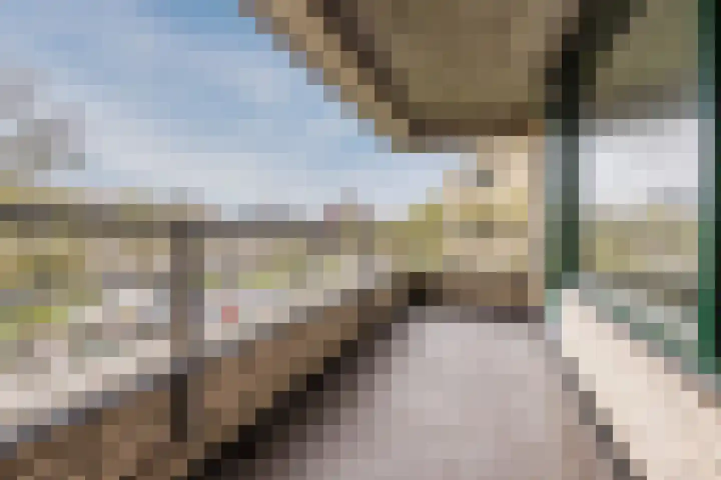Burgemeester Patijnlaan 694 Den Haag thumbnail 5