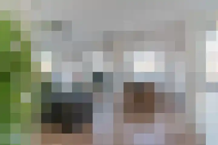 Burgemeester Patijnlaan 776 Den Haag thumbnail 8