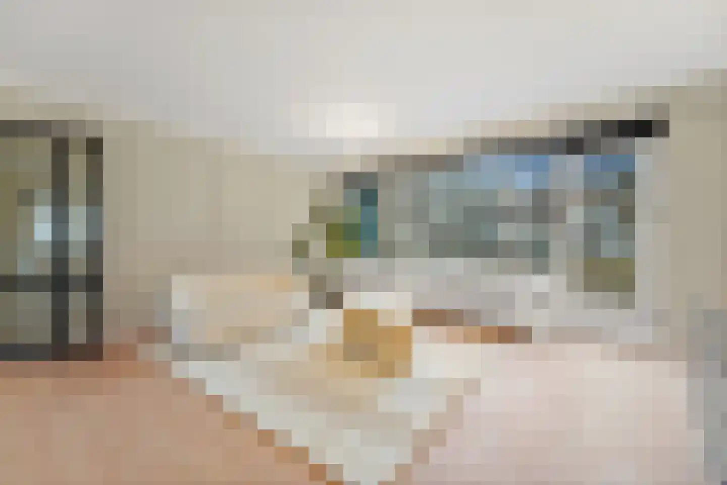 Burgemeester Patijnlaan 790 Den Haag thumbnail 4