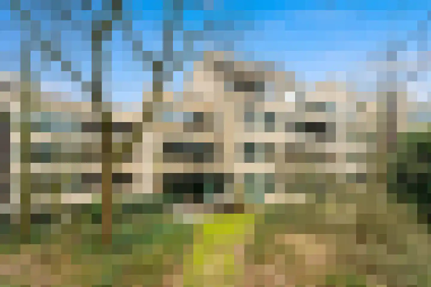 Burgemeester Patijnlaan 790 Den Haag thumbnail 6