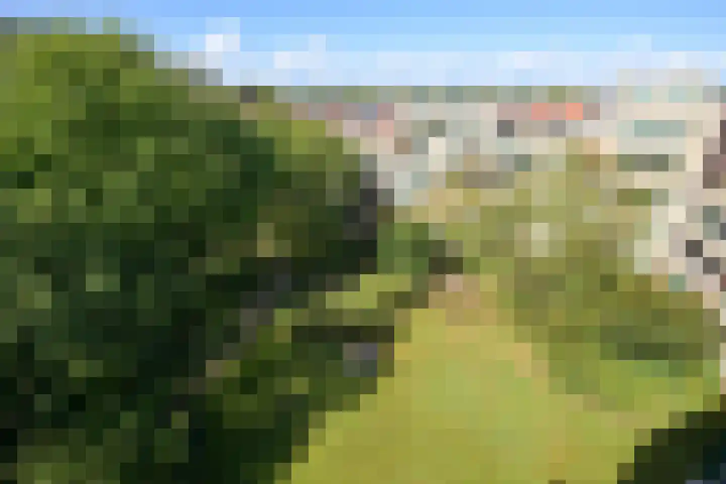 Burgemeester Patijnlaan 804 Den Haag thumbnail 42