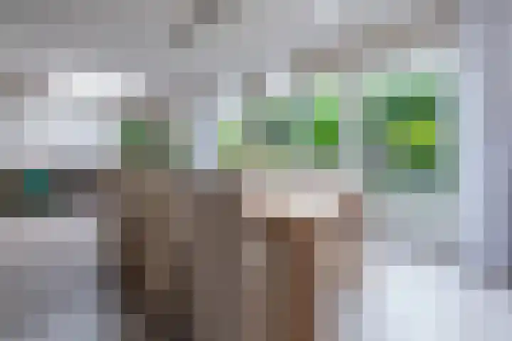 Burgemeester Patijnlaan 84 Zeist thumbnail 16