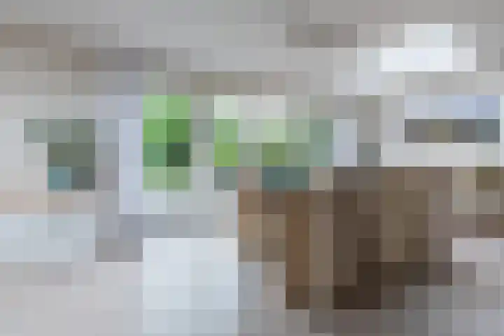 Burgemeester Patijnlaan 84 Zeist thumbnail 18