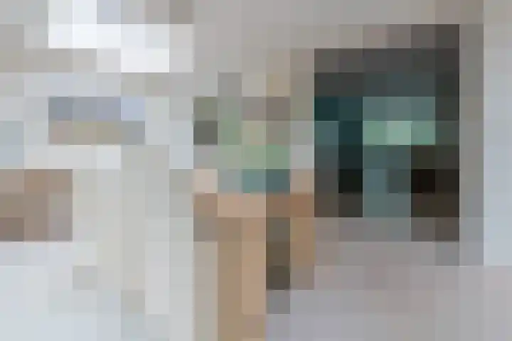 Burgemeester Patijnlaan 84 Zeist thumbnail 20
