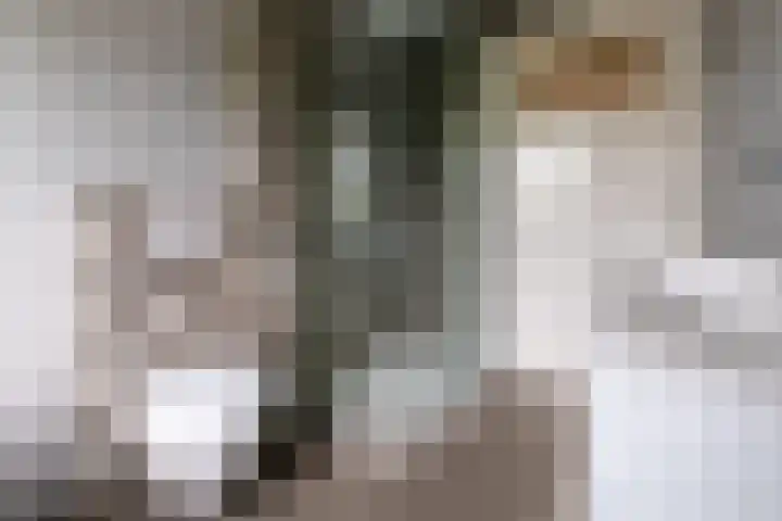 Burgemeester Patijnlaan 84 Zeist thumbnail 30