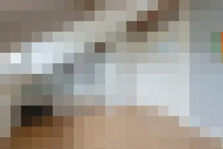 Burgemeester Patijnlaan 84 Zeist thumbnail 34