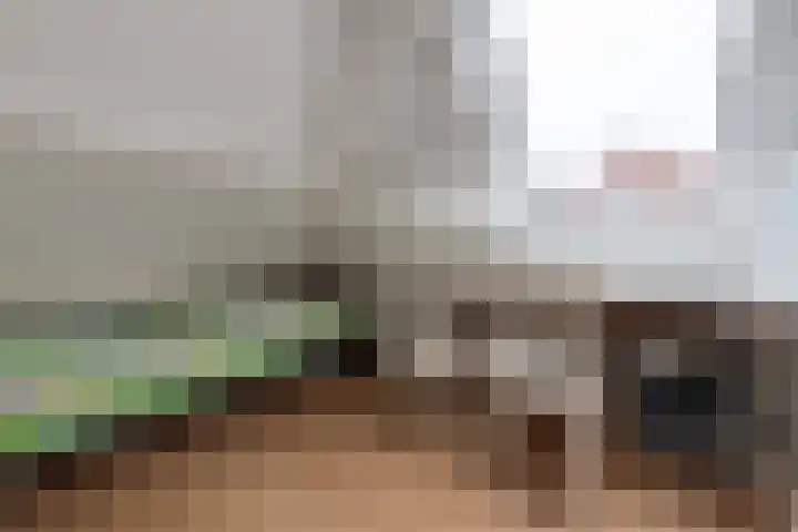Burgemeester Patijnlaan 84 Zeist thumbnail 35