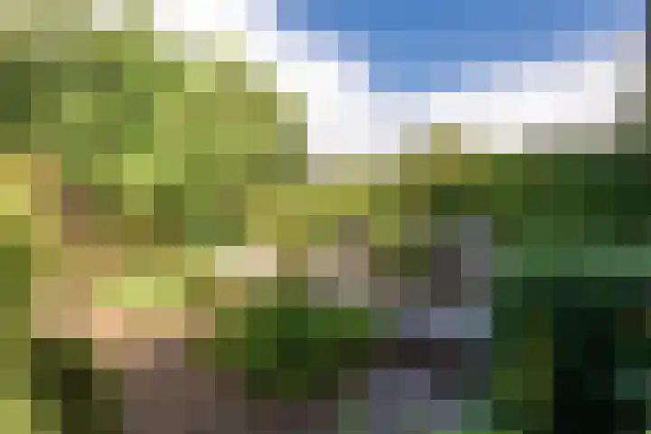 Burgemeester Patijnlaan 84 Zeist thumbnail 38