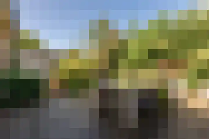Burgemeester Patijnlaan 84 Zeist thumbnail 39