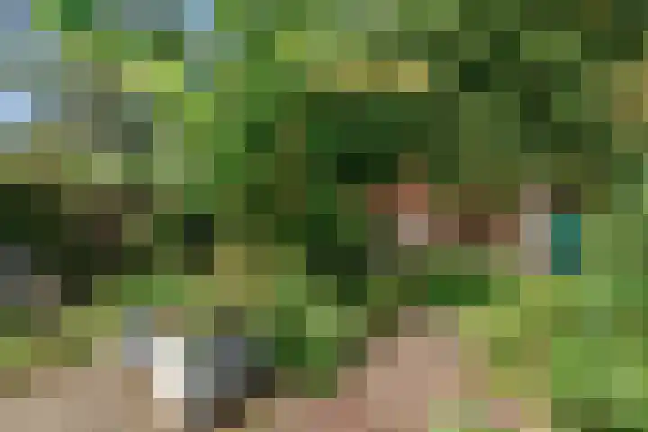 Burgemeester Patijnlaan 84 Zeist thumbnail 40