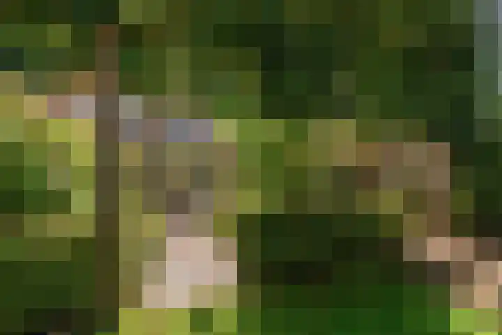 Burgemeester Patijnlaan 84 Zeist thumbnail 41