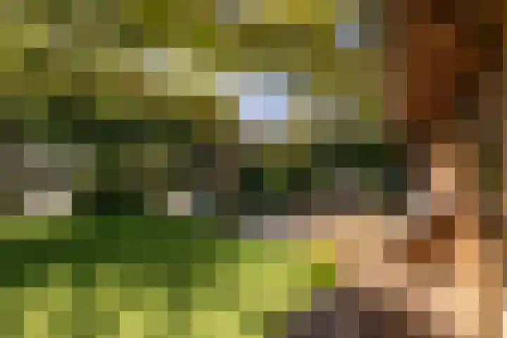 Burgemeester Patijnlaan 84 Zeist thumbnail 43