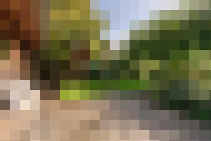 Burgemeester Patijnlaan 84 Zeist thumbnail 44