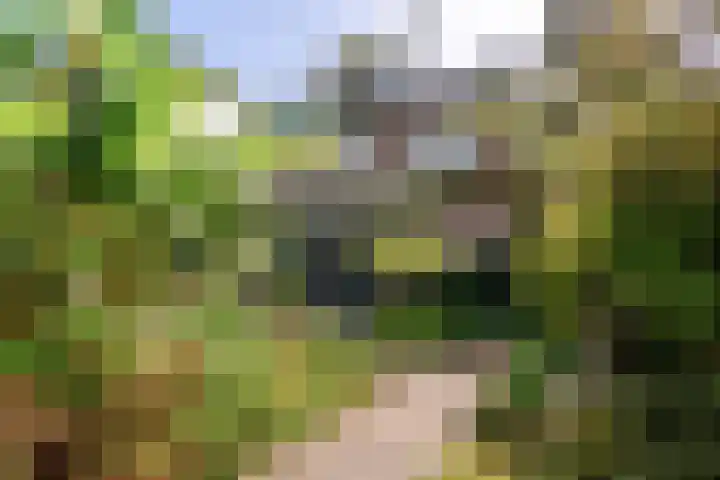 Burgemeester Patijnlaan 84 Zeist thumbnail 46