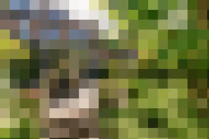 Burgemeester Patijnlaan 84 Zeist thumbnail 47