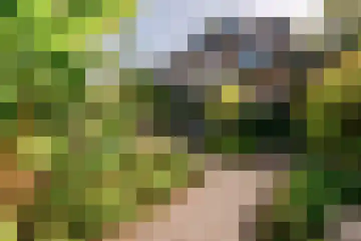 Burgemeester Patijnlaan 84 Zeist thumbnail 48