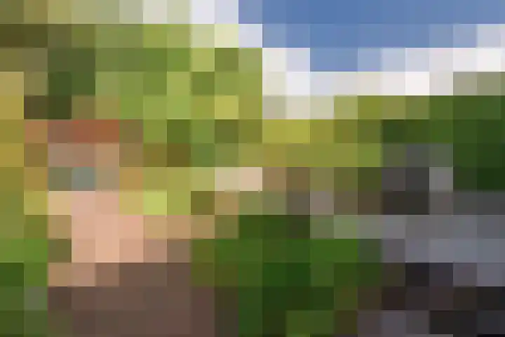 Burgemeester Patijnlaan 84 Zeist thumbnail 49