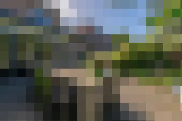 Burgemeester Patijnlaan 84 Zeist thumbnail 50