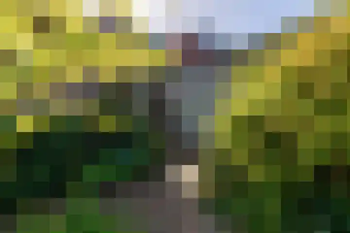 Burgemeester Patijnlaan 84 Zeist thumbnail 51