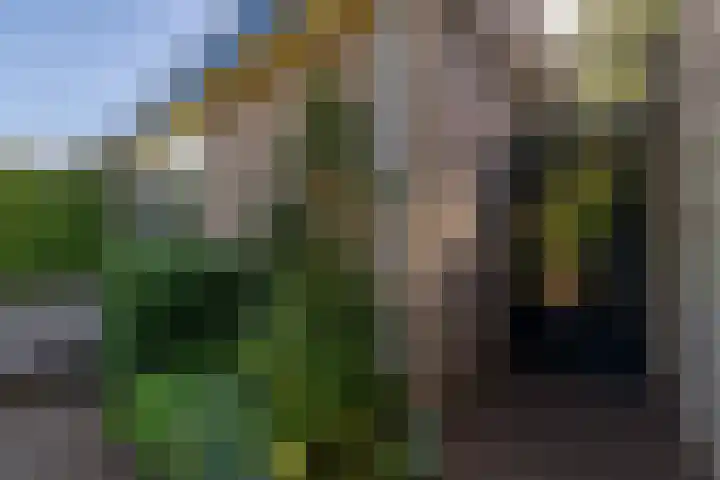 Burgemeester Patijnlaan 84 Zeist thumbnail 52