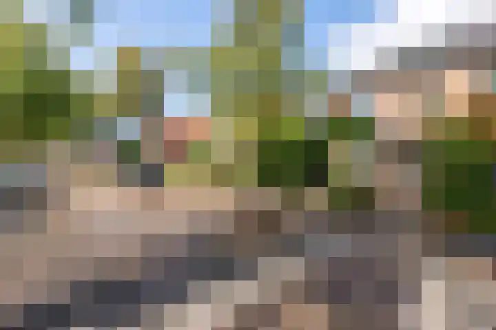Burgemeester Patijnlaan 84 Zeist thumbnail 55