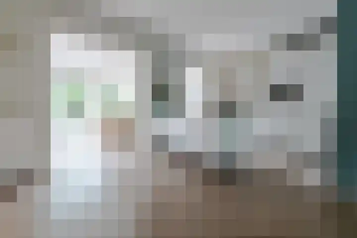 Burgemeester Patijnlaan 84 Zeist thumbnail 9