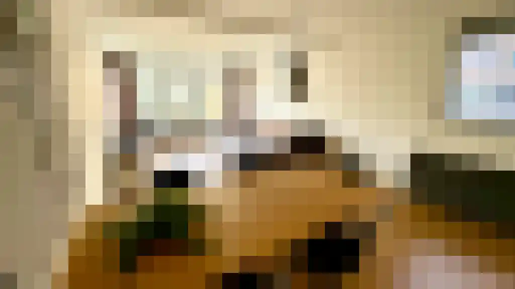 Burgemeester Patijnlaan Den Haag thumbnail 4