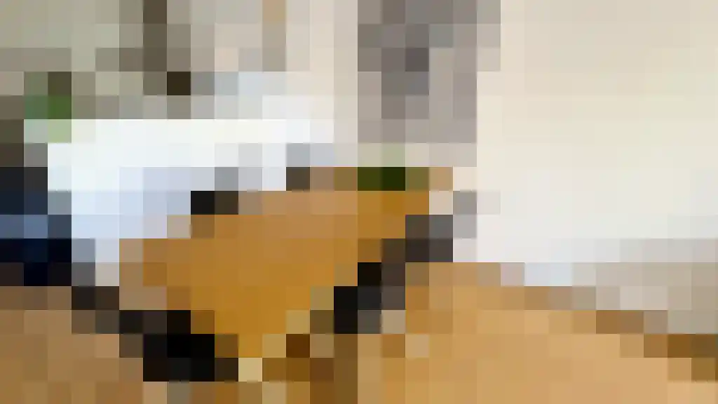 Burgemeester Patijnlaan Den Haag thumbnail 5