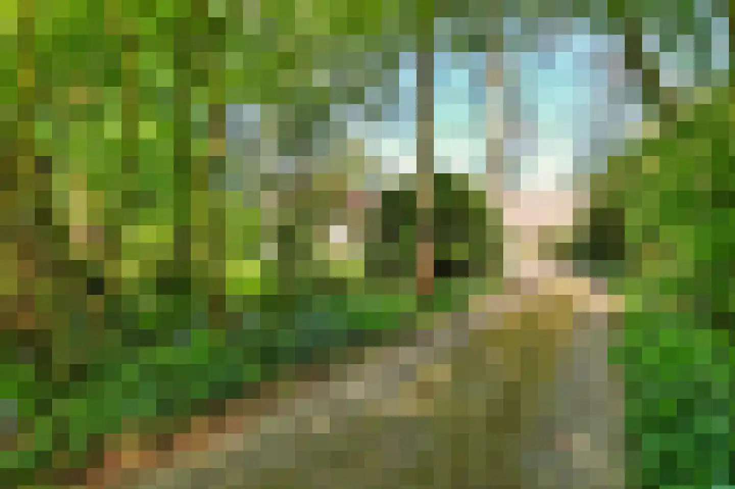 Burgemeester Peecklaan 21 Schoorl thumbnail 29