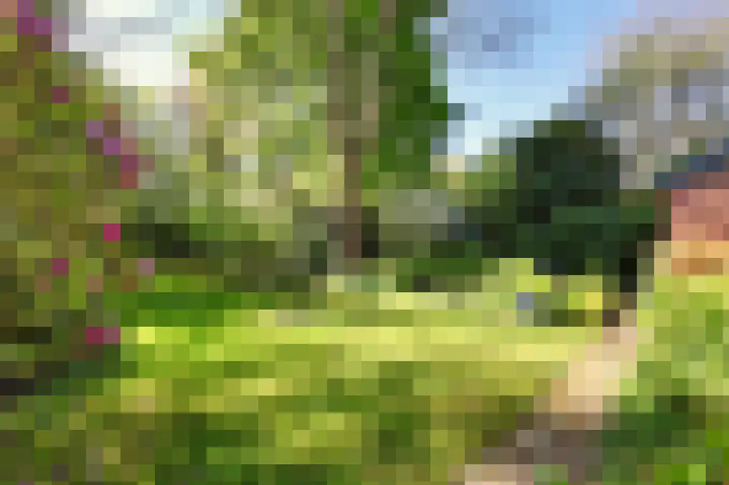 Burgemeester Peecklaan 21 Schoorl thumbnail 32