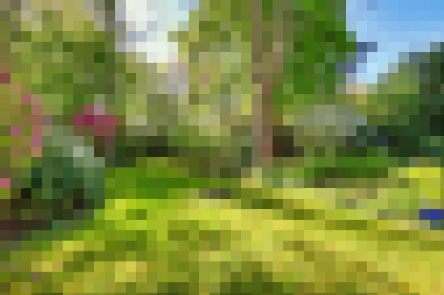 Burgemeester Peecklaan 21 Schoorl thumbnail 33