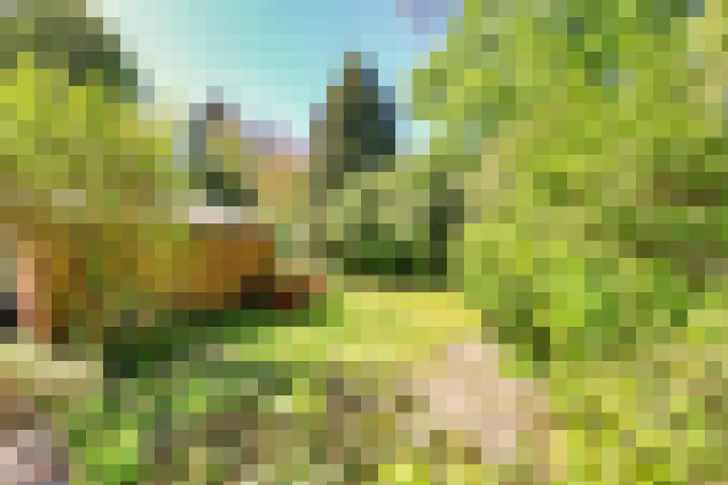 Burgemeester Peecklaan 21 Schoorl thumbnail 36