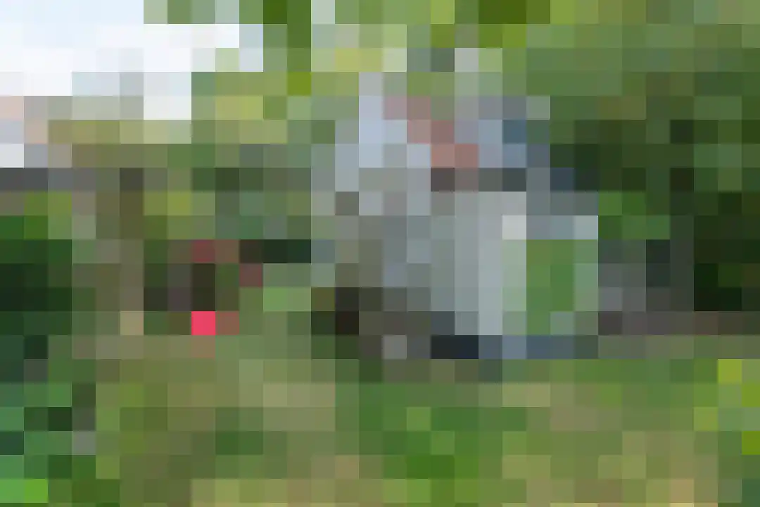 Burgemeester Peecklaan 32 Schoorl thumbnail 41