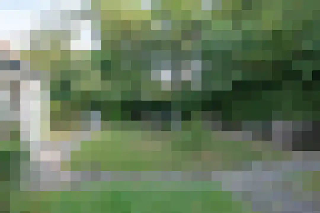 Burgemeester Peecklaan 32 Schoorl thumbnail 42