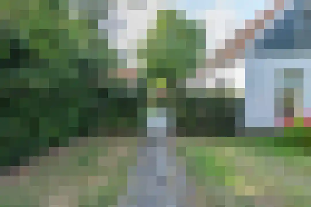 Burgemeester Peecklaan 32 Schoorl thumbnail 55