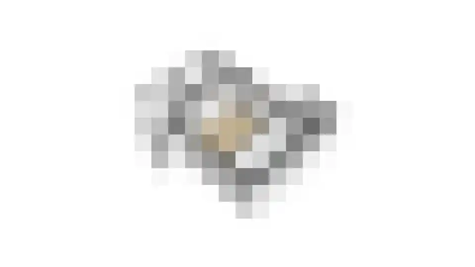 Burgemeester Peecklaan 32 Schoorl thumbnail 65