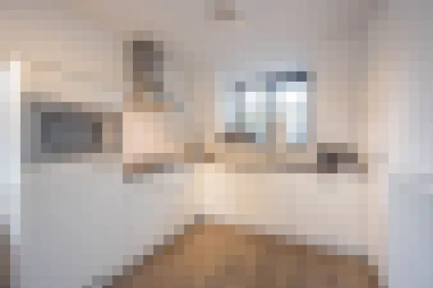 Burgemeester Peecklaan 4 Schoorl thumbnail 10
