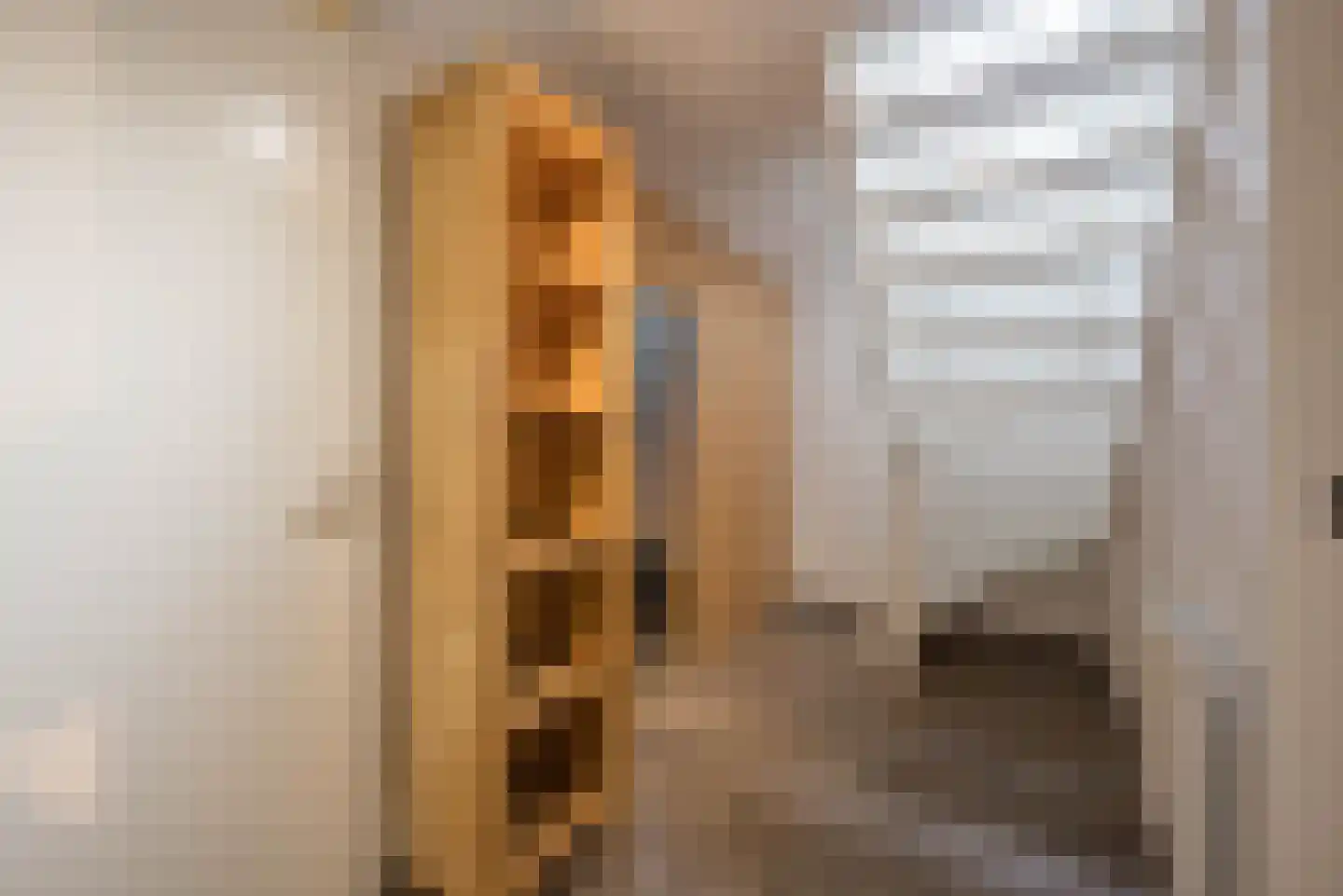 Burgemeester Peecklaan 4 Schoorl thumbnail 11