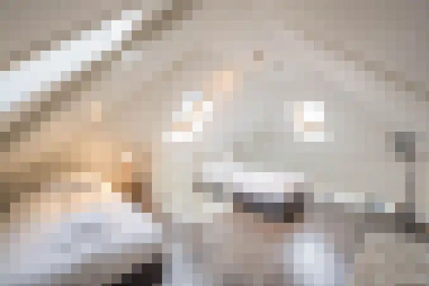 Burgemeester Peecklaan 4 Schoorl thumbnail 20