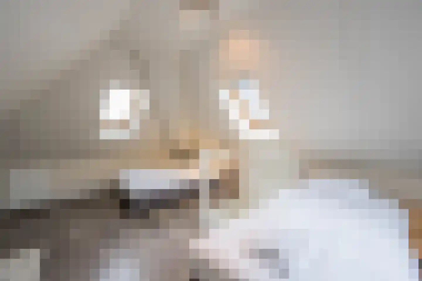 Burgemeester Peecklaan 4 Schoorl thumbnail 21