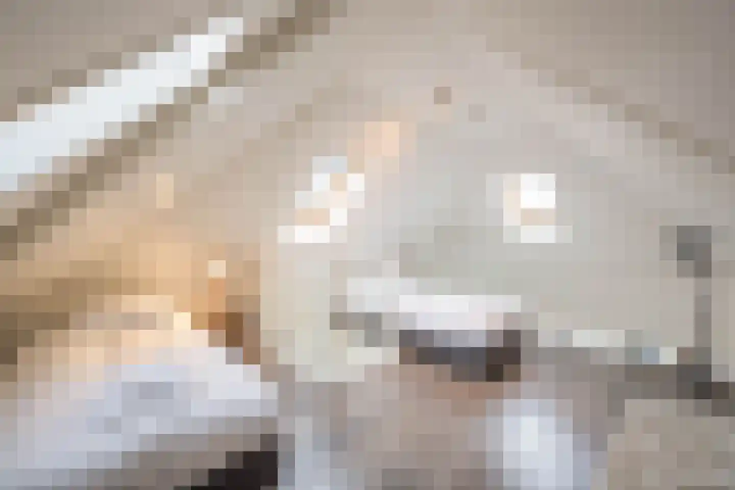 Burgemeester Peecklaan 4 Schoorl thumbnail 22