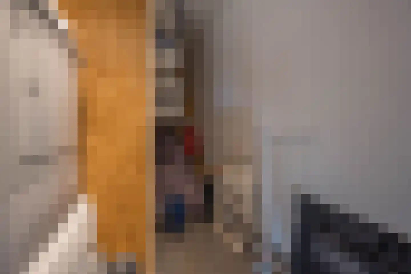 Burgemeester Peecklaan 4 Schoorl thumbnail 26