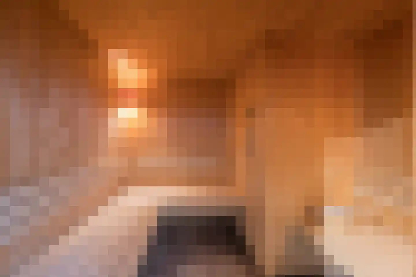 Burgemeester Peecklaan 4 Schoorl thumbnail 4