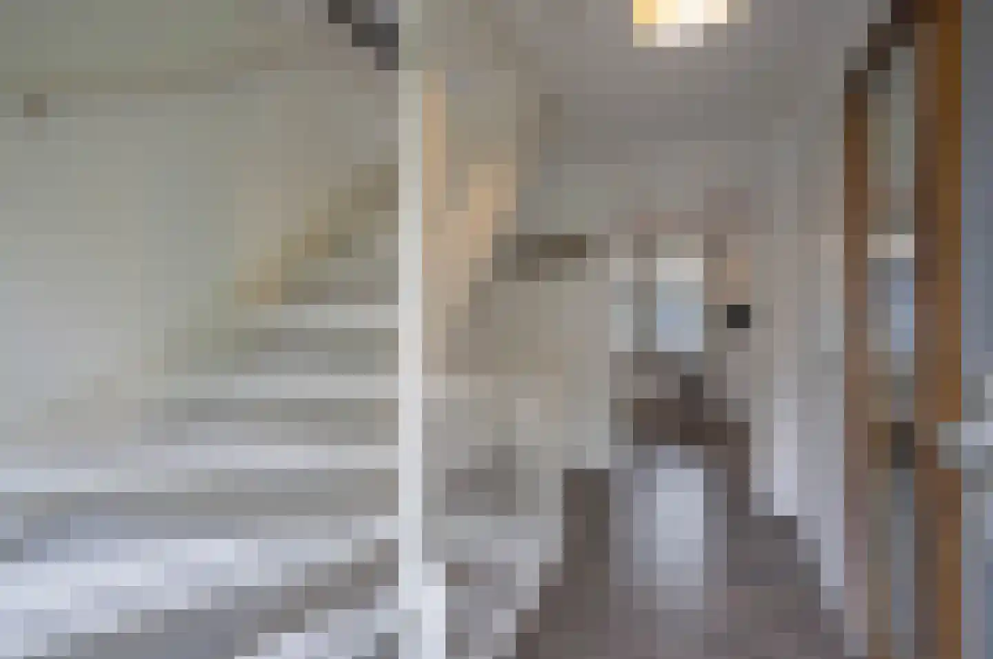Burgemeester Peecklaan 4 Schoorl thumbnail 5