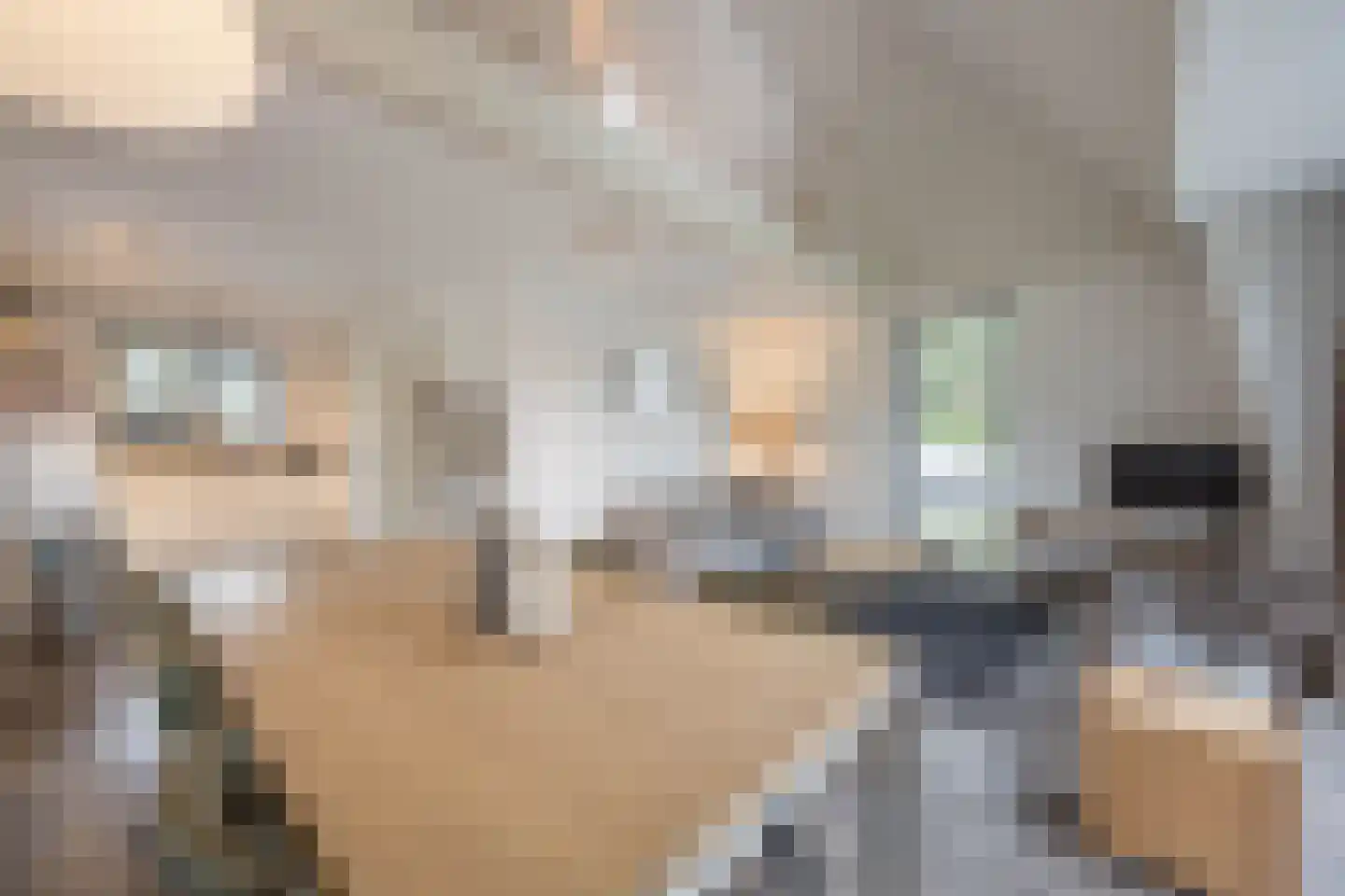 Burgemeester Peecklaan 4 Schoorl thumbnail 7