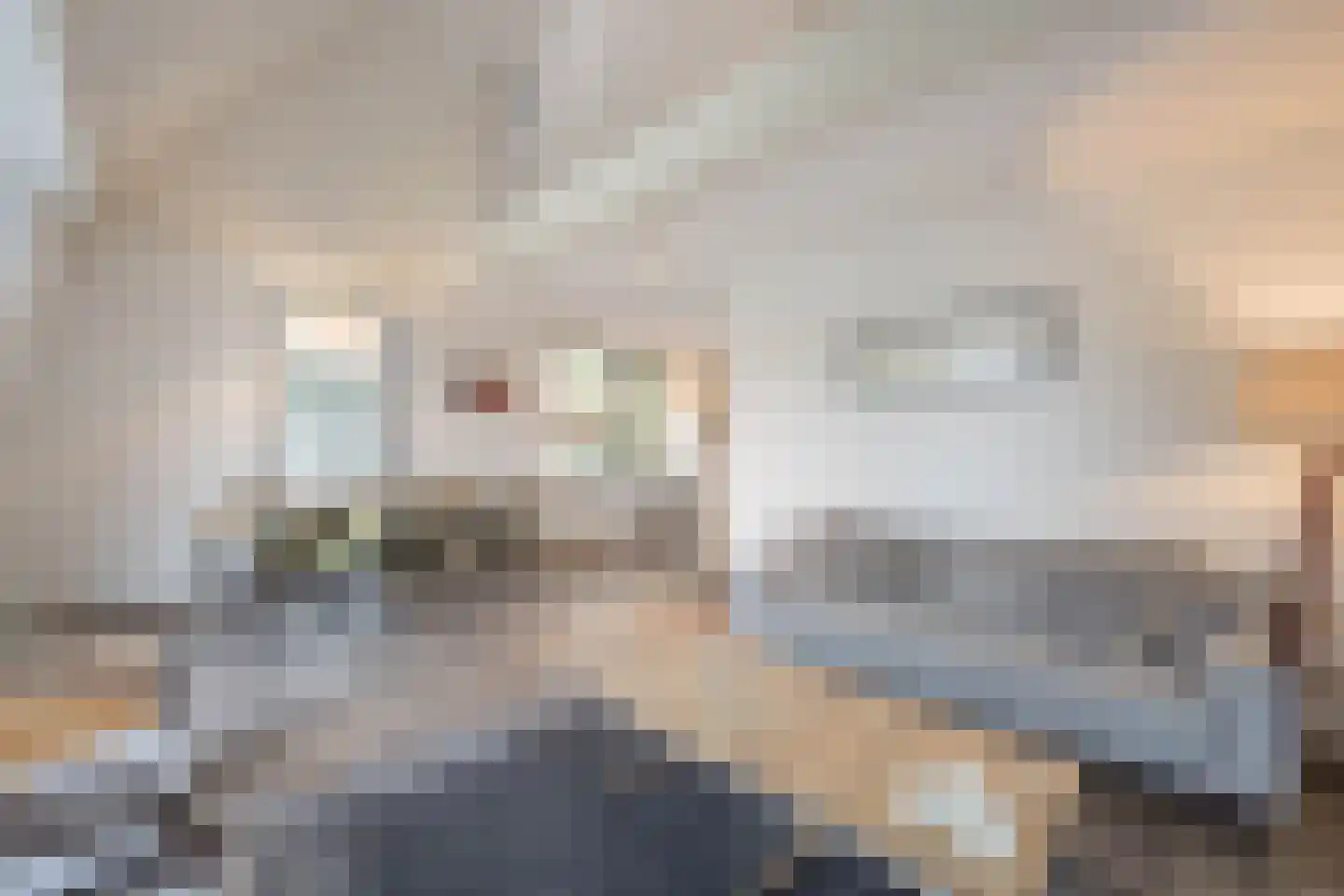 Burgemeester Peecklaan 4 Schoorl thumbnail 8