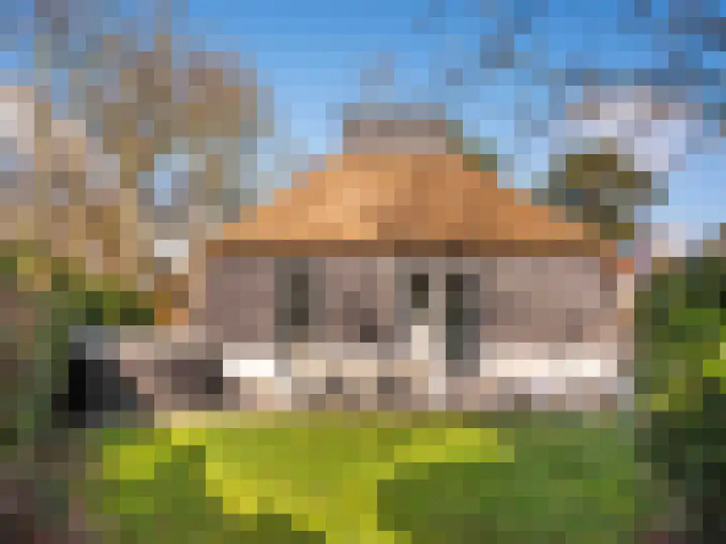 Burgemeester Peecklaan 8 001 Schoorl thumbnail 29