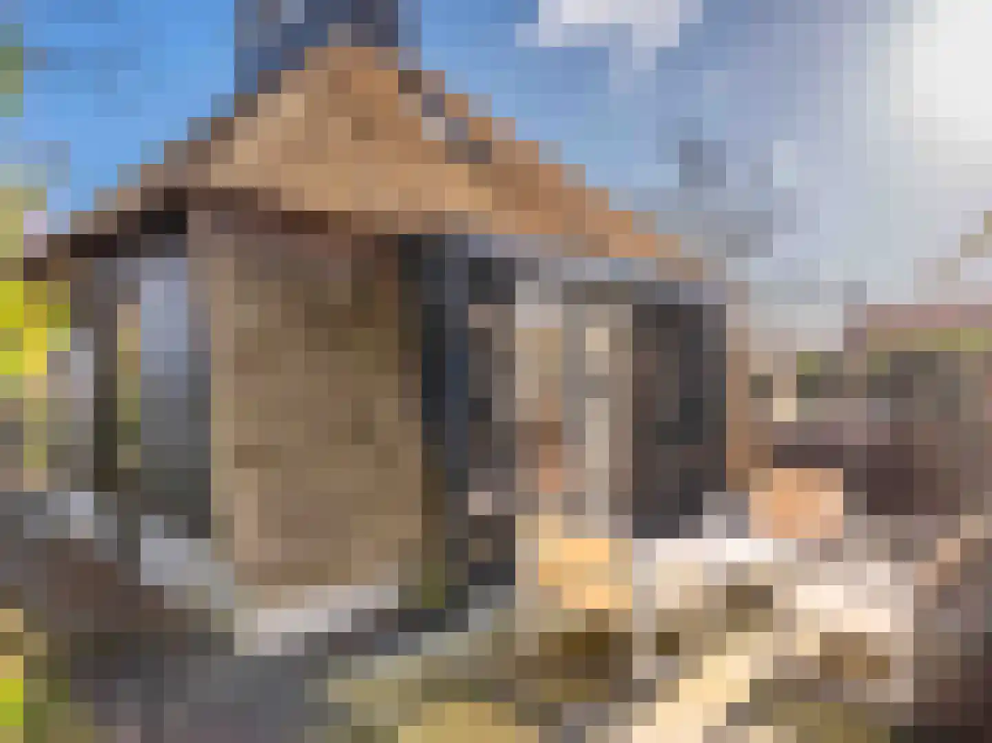 Burgemeester Peecklaan 8 001 Schoorl thumbnail 29